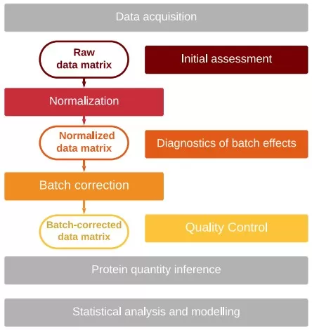 Batch effect processing workflow Batch effect processing workflow